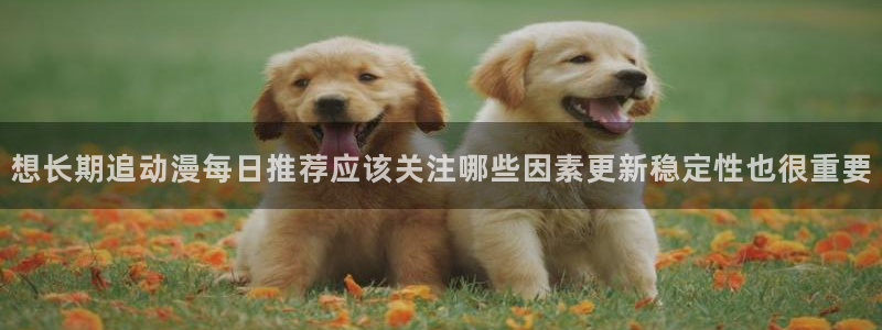 在线动漫推荐：想长期追动漫每日推荐应该关注哪些因素更新稳定性也很重要