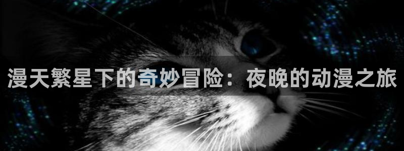 新番动漫排行榜：漫天繁星下的奇妙冒险：夜晚的动漫之旅