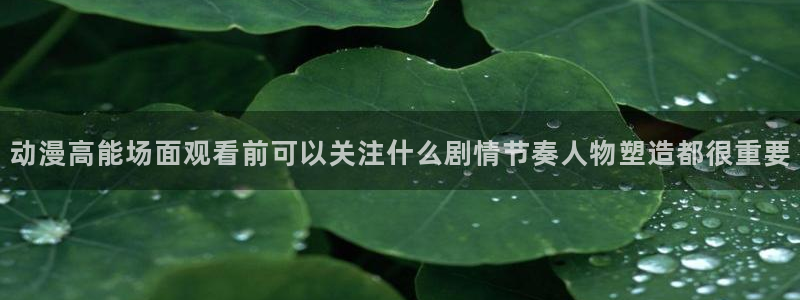 动漫题材分类：动漫高能场面观看前可以关注什么剧情节奏人物塑造都很重要