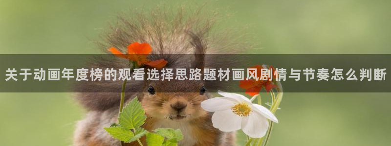 动漫检索：关于动画年度榜的观看选择思路题材画风剧情与节奏怎么判断