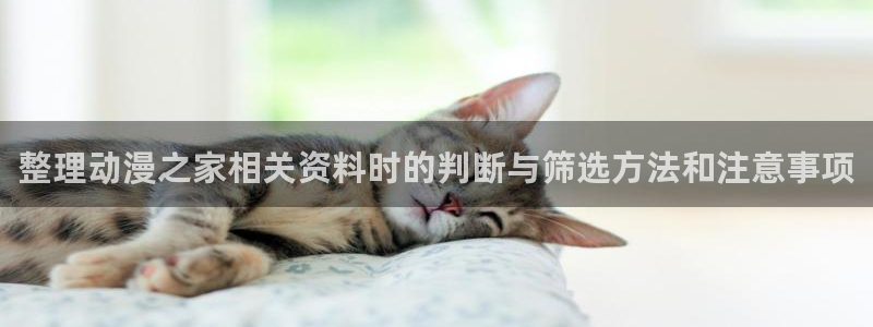 悬疑动漫：整理动漫之家相关资料时的判断与筛选方法和注意事项