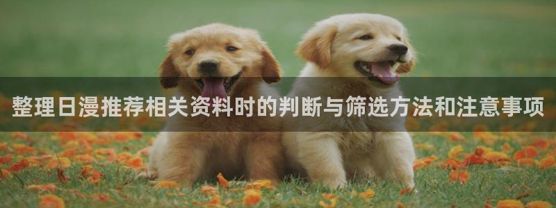 热门动漫榜单：整理日漫推荐相关资料时的判断与筛选方法和注意事项