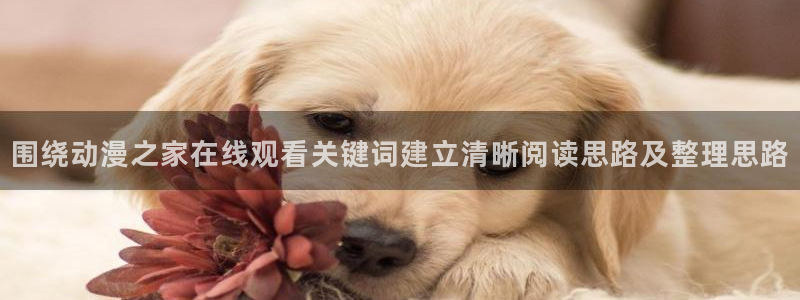 动漫作品专题：围绕动漫之家在线观看关键词建立清晰阅读思路及整理思路
