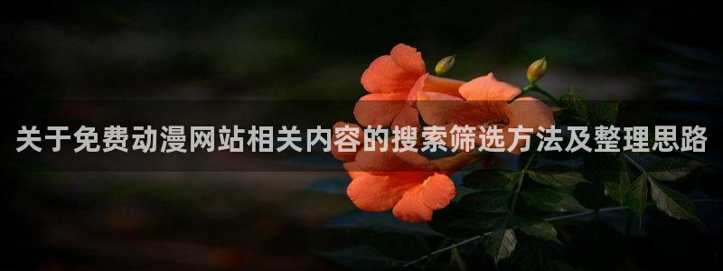 热门动漫网站：关于免费动漫网站相关内容的搜索筛选方法及整理思路