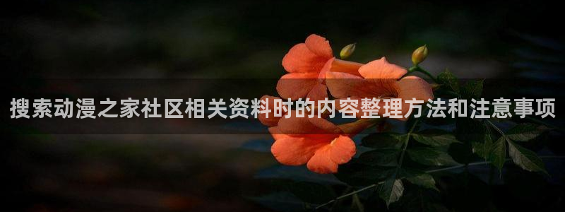 国产动画：搜索动漫之家社区相关资料时的内容整理方法和注意事项