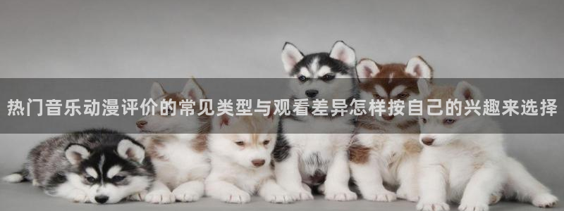 动漫网网站：热门音乐动漫评价的常见类型与观看差异怎样按自己的兴趣来选择