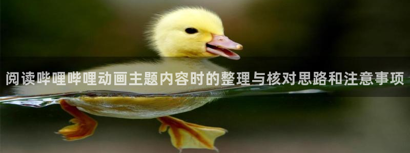 动漫资源:阅读哔哩哔哩动画主题内容时的整理与核对思路和注意事项