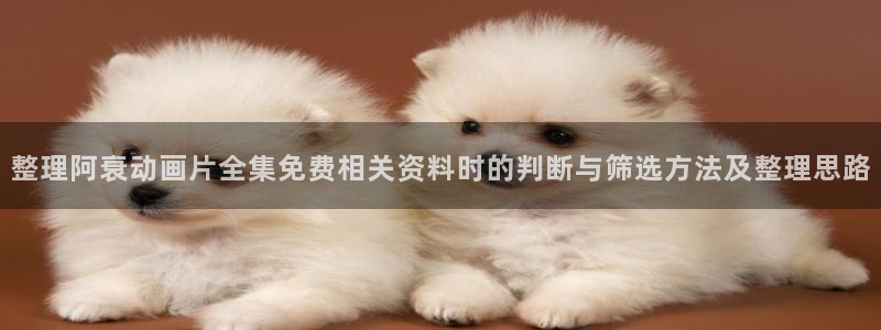 连载动漫：整理阿衰动画片全集免费相关资料时的判断与筛选方法及整理思路