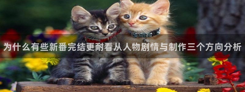 值得看的动漫:为什么有些新番完结更耐看从人物剧情与制作三个方向分析