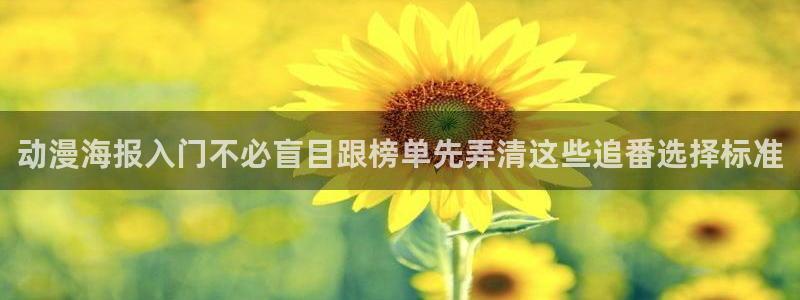 动画大全