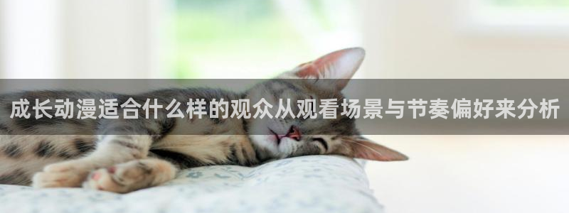 国产动漫大全：成长动漫适合什么样的观众从观看场景与节奏偏好来分析